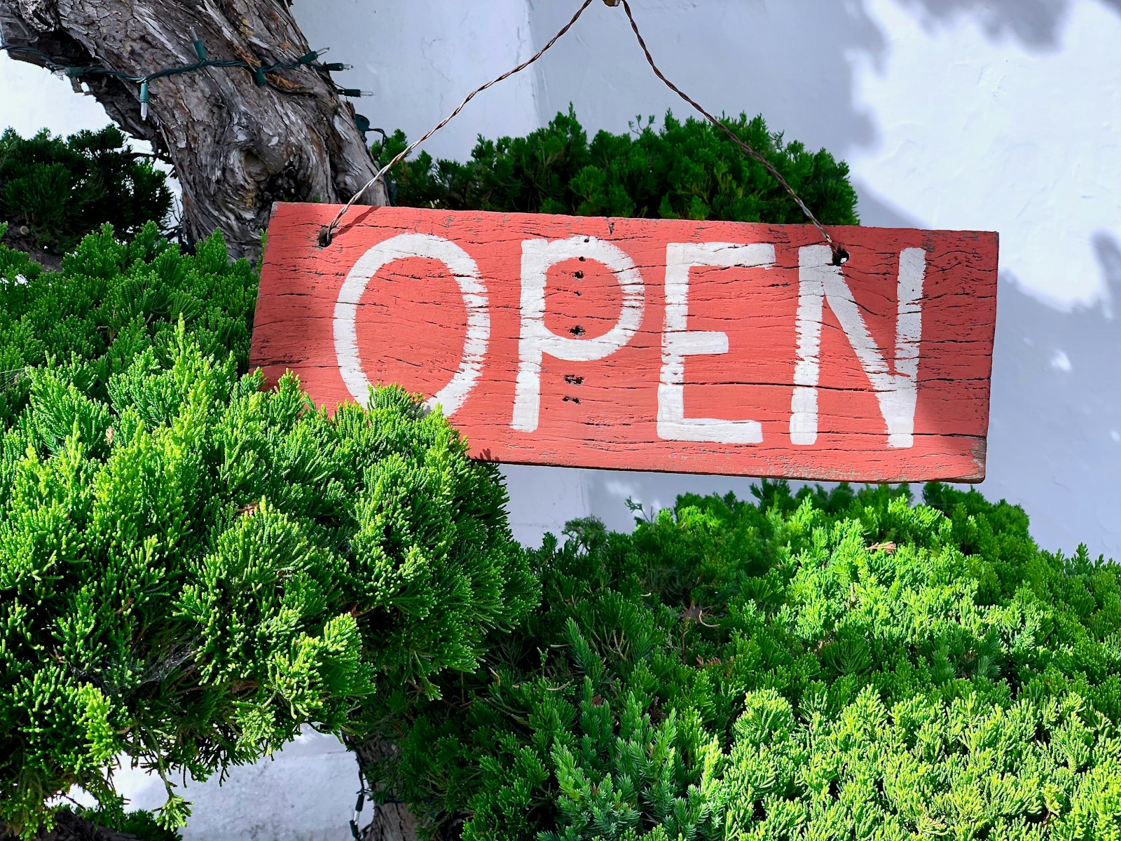 brown and white open signage on green grasses